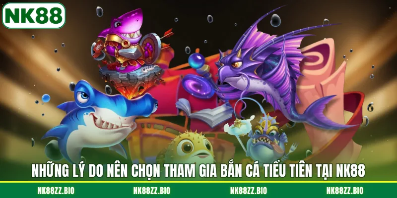 nhung-ly-do-nen-chon-tham-gia-ban-ca-tieu-tien-tai-nk88